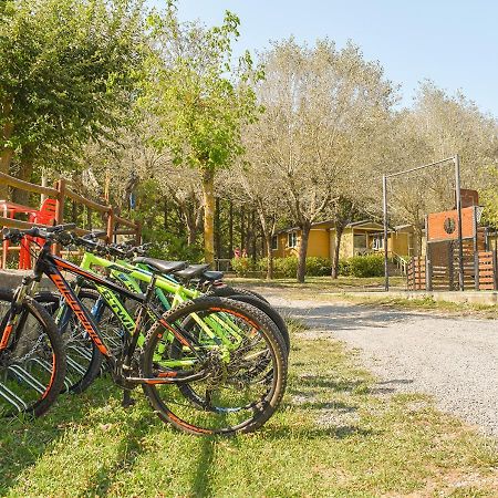 Camping Senia Rupit Kültér fotó
